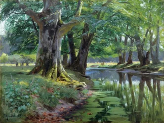 P. Mönsted, verão junto ao ribeiro na floresta